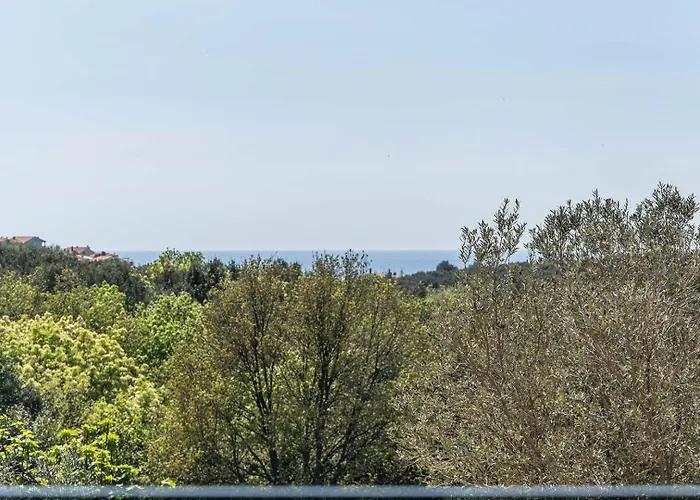 Villa Zen *